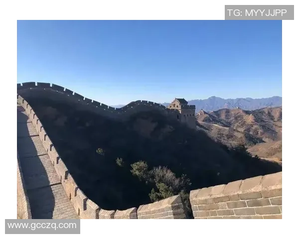 天赋如虹闪耀屏幕之上这位少年在英雄联盟中展现非凡才华